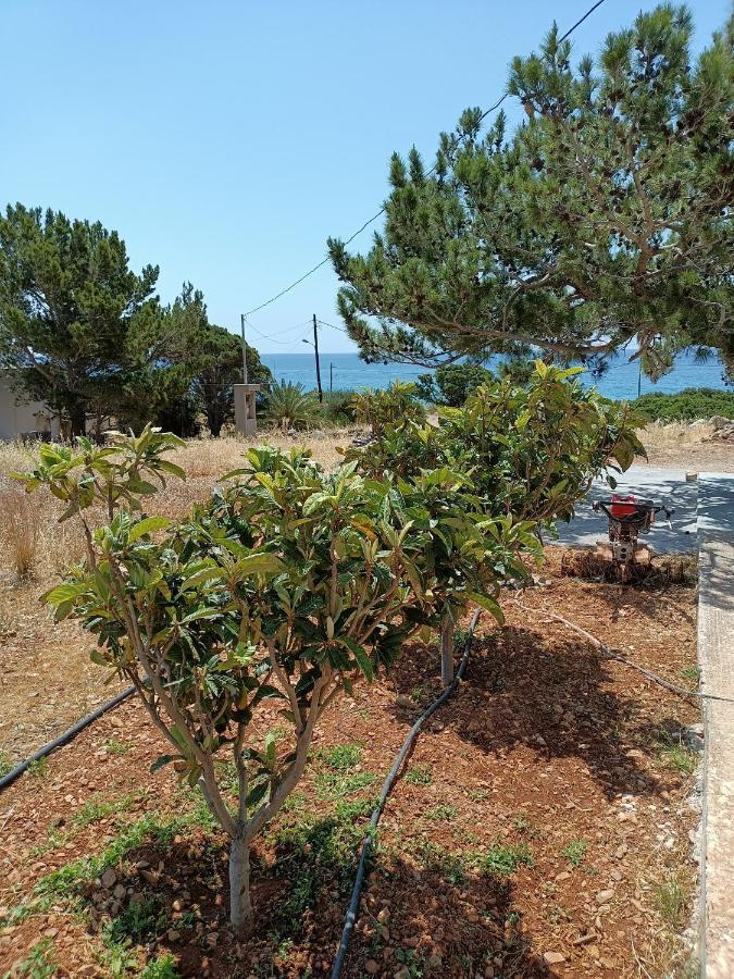 Sea View Pine House Villa Makrýgialos Exteriör bild